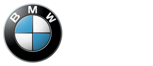 55BMW HUB